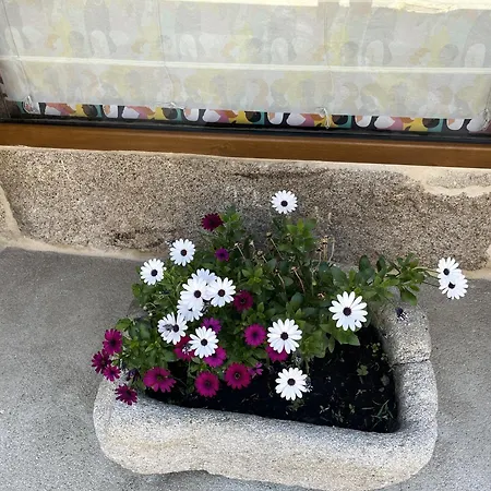 Acasadocruceiro * Vales